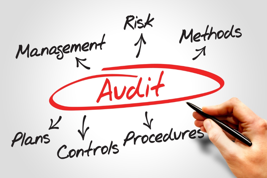 How Environmental Audits Drive Business Success
